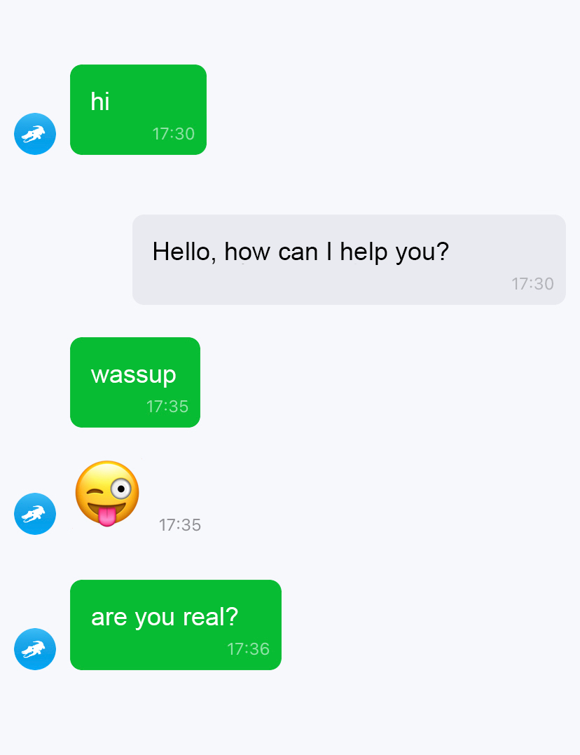 Chatbots Interaction